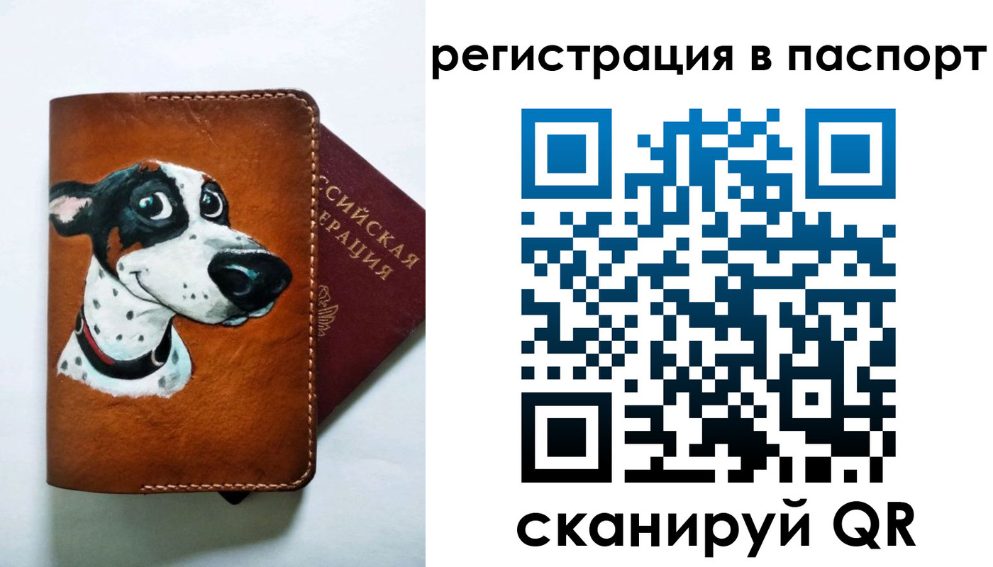 прописка штамп в Волжском